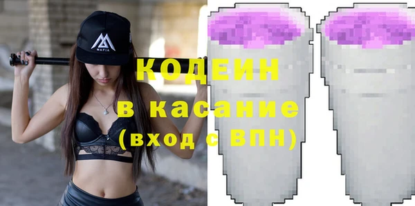 шишки Тында