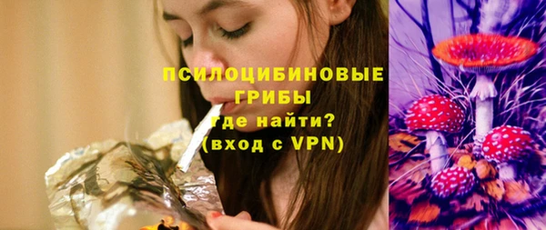 шишки Тында