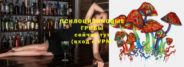 ПСИЛОЦИБИНОВЫЕ ГРИБЫ Усинск
