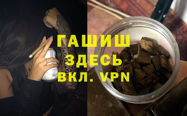 шишки Тында