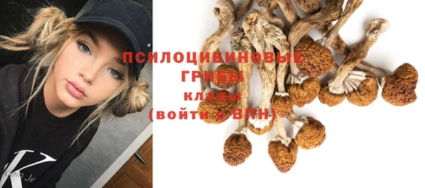 шишки Тында