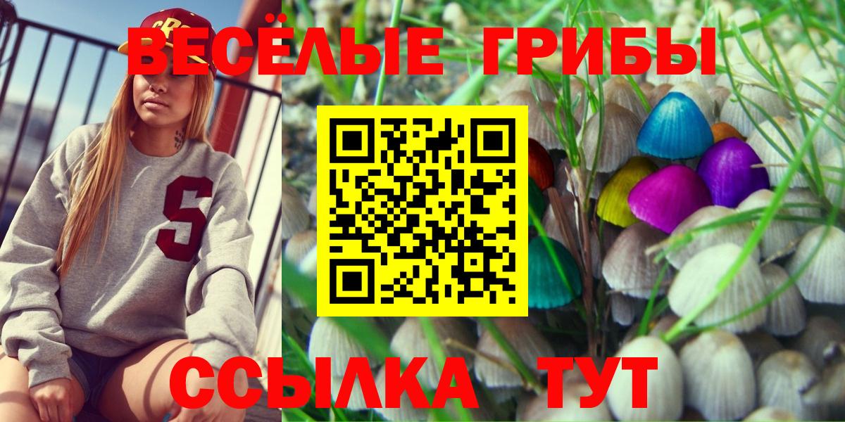 Галлюциногенные грибы прущие грибы Челябинск