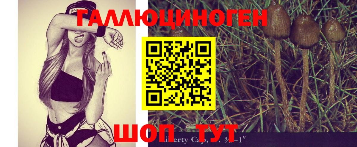 Галлюциногенные грибы мицелий Челябинск