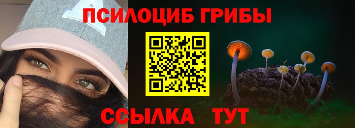Челябинск  Псилоцибиновые грибы ЛСД  купить наркотик  Псилоцибиновые грибы Cubensis  Вход с VPN 
